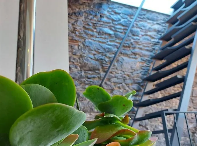 Holiday home Casa Do Sol Jardim do Mar