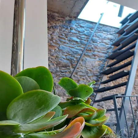 Hébergement de vacances Casa Do Sol Jardim do Mar